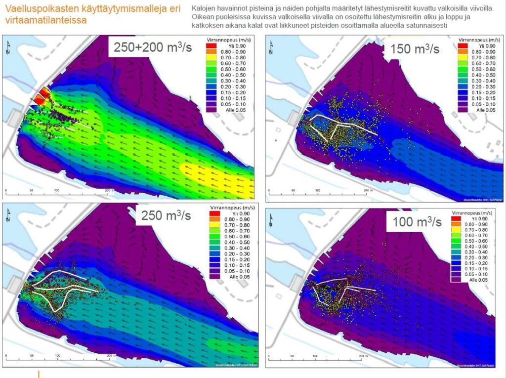 Viivoilla osoitettu kalojen liikkeitä voimalaitoksen yläkanavassa, viivat karttapohjalla, jossa näkyy eri virtausnopeuksia.