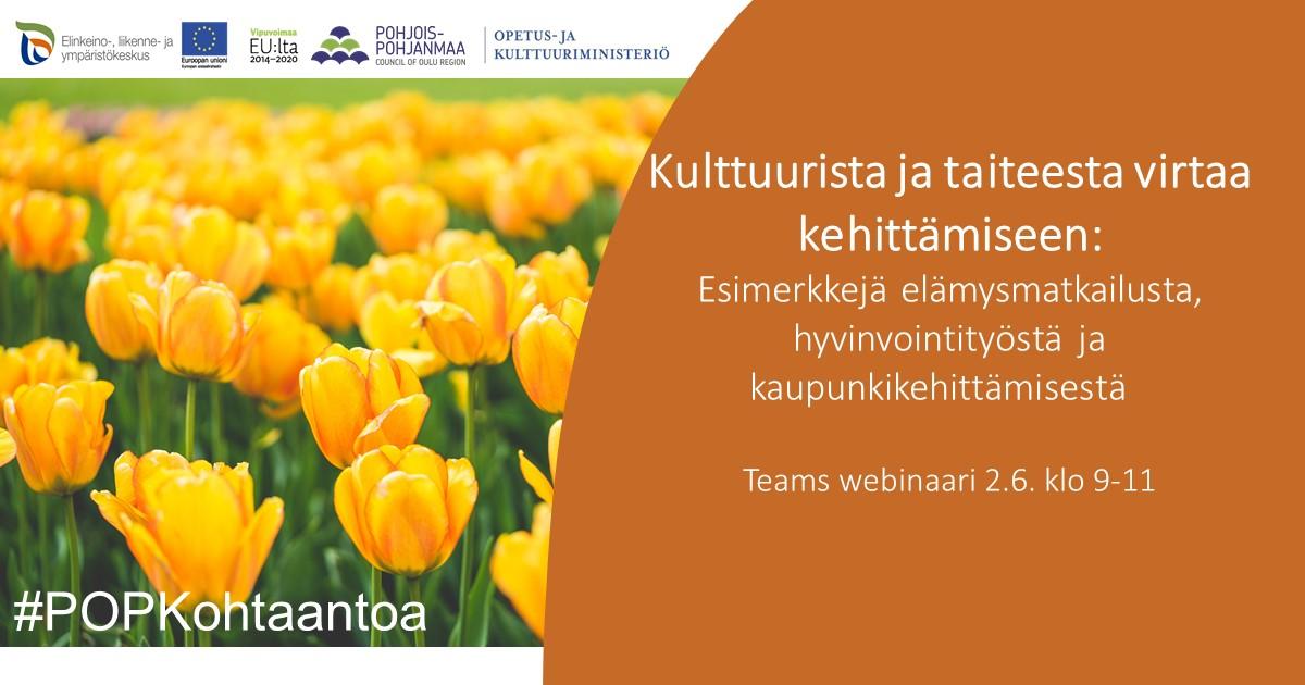 Kulttuurista ja taiteesta virtaa kehittämiseen webinaari