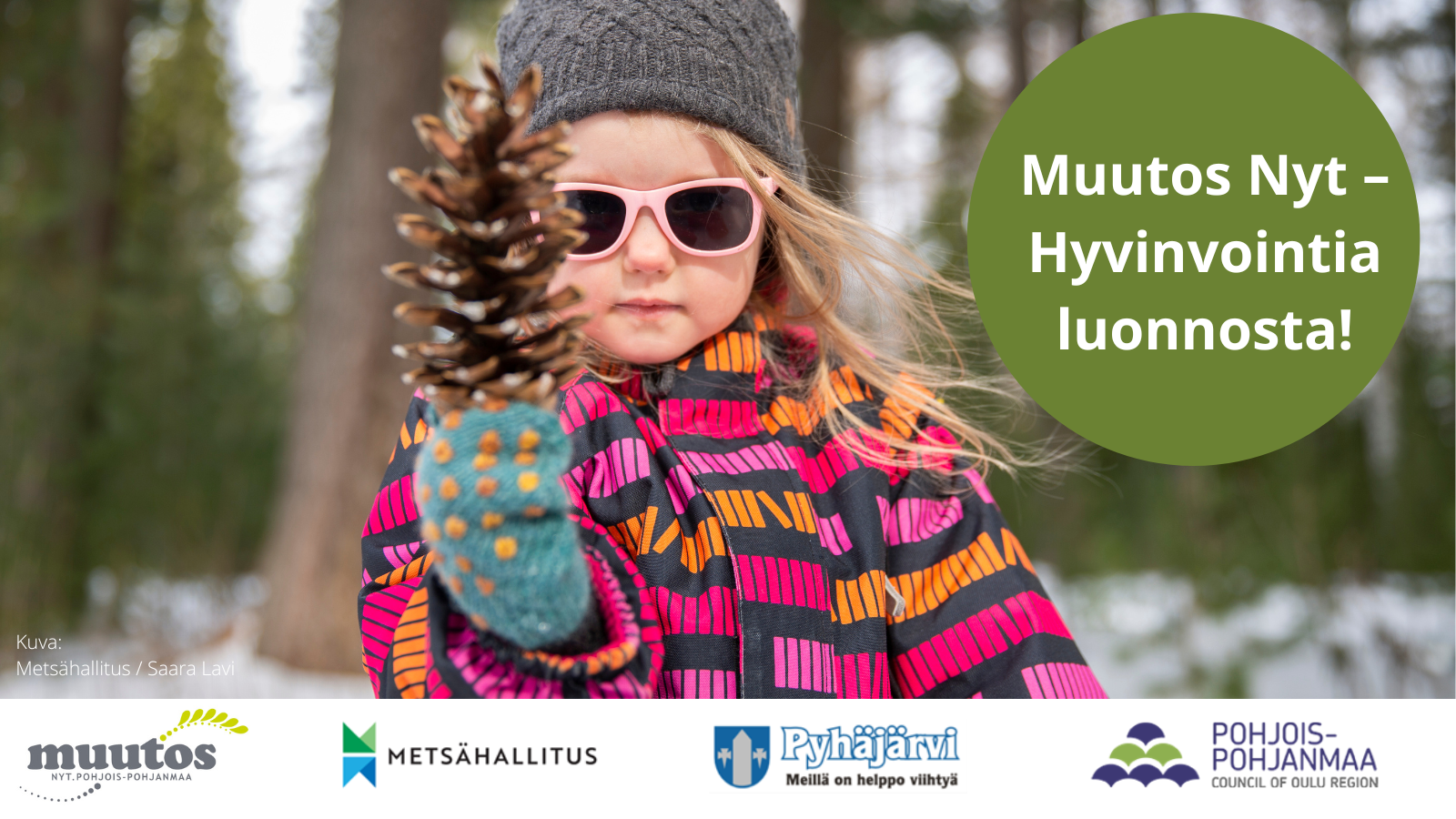 Kuvassa tyttö pitää kädessä käpyä. Ilmoitus koskee Pohjois-Pohjanmaan hyvinvointifoorumia, joka pidettiin 2.11.2022 Pyhäjärvellä. Teemana oli Hyvinvointia luonnosta.