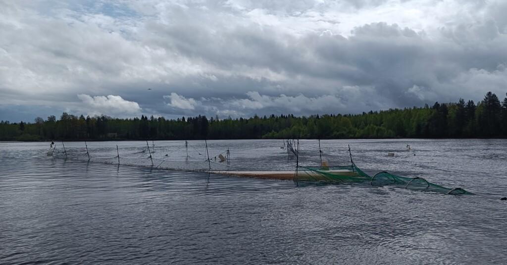 Jokimaisema, rysä, puolipilvinen keli