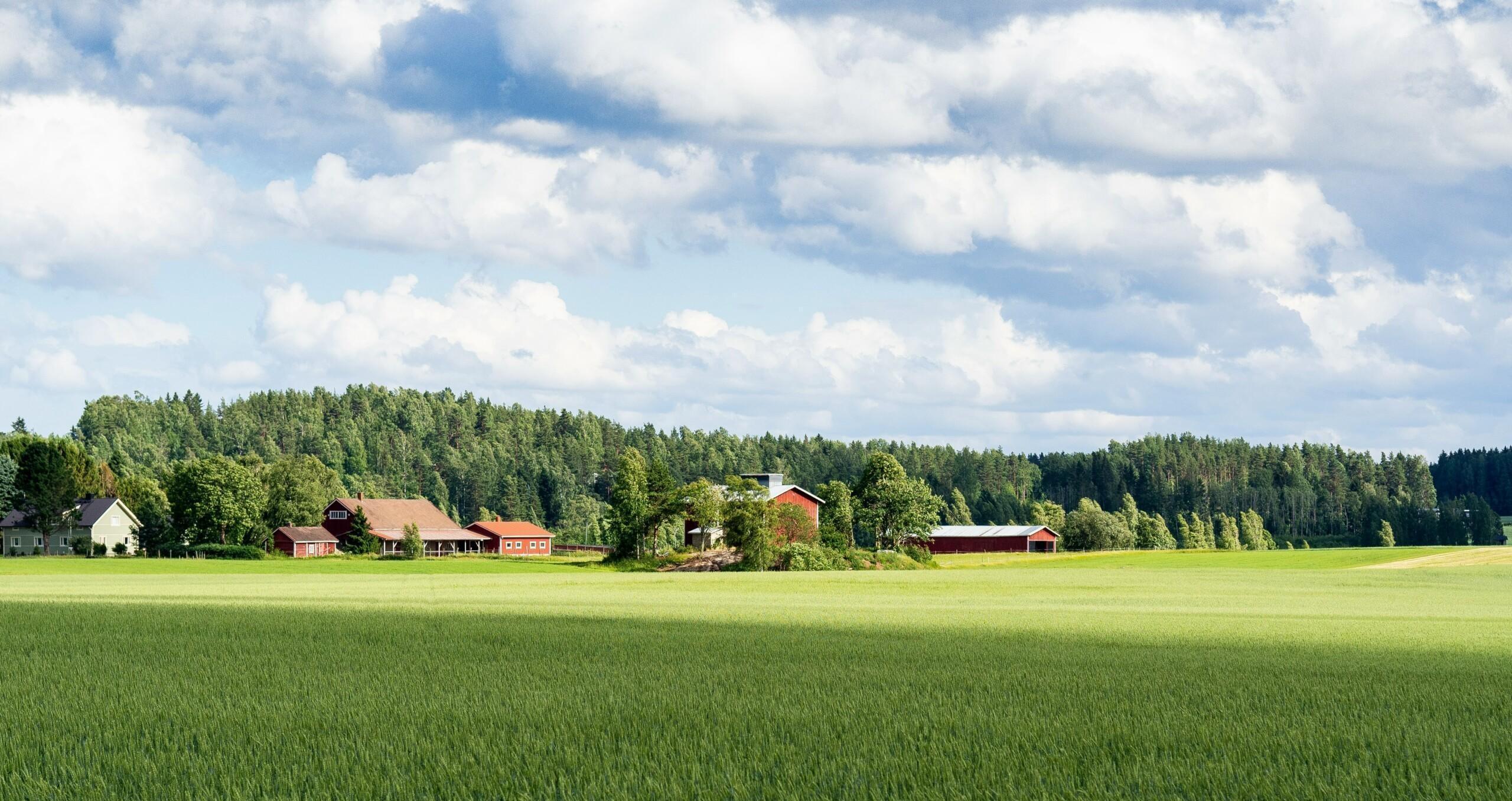 Kesäinen peltomaisema, jossa pellon takana punaisia puutaloja ja maatilarakennuksia. Taustalla metsää. Taivas on pilvinen ja sininen.